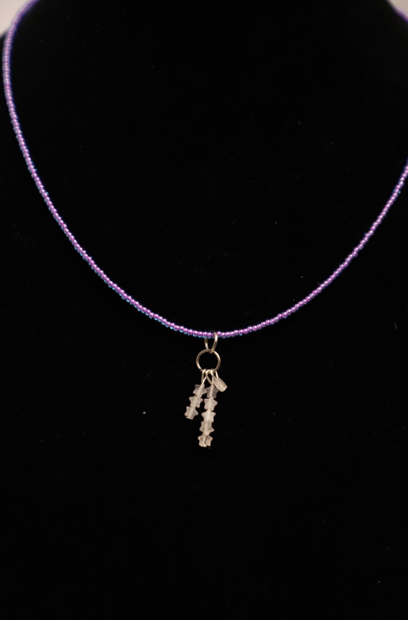 The Wisteria Vine